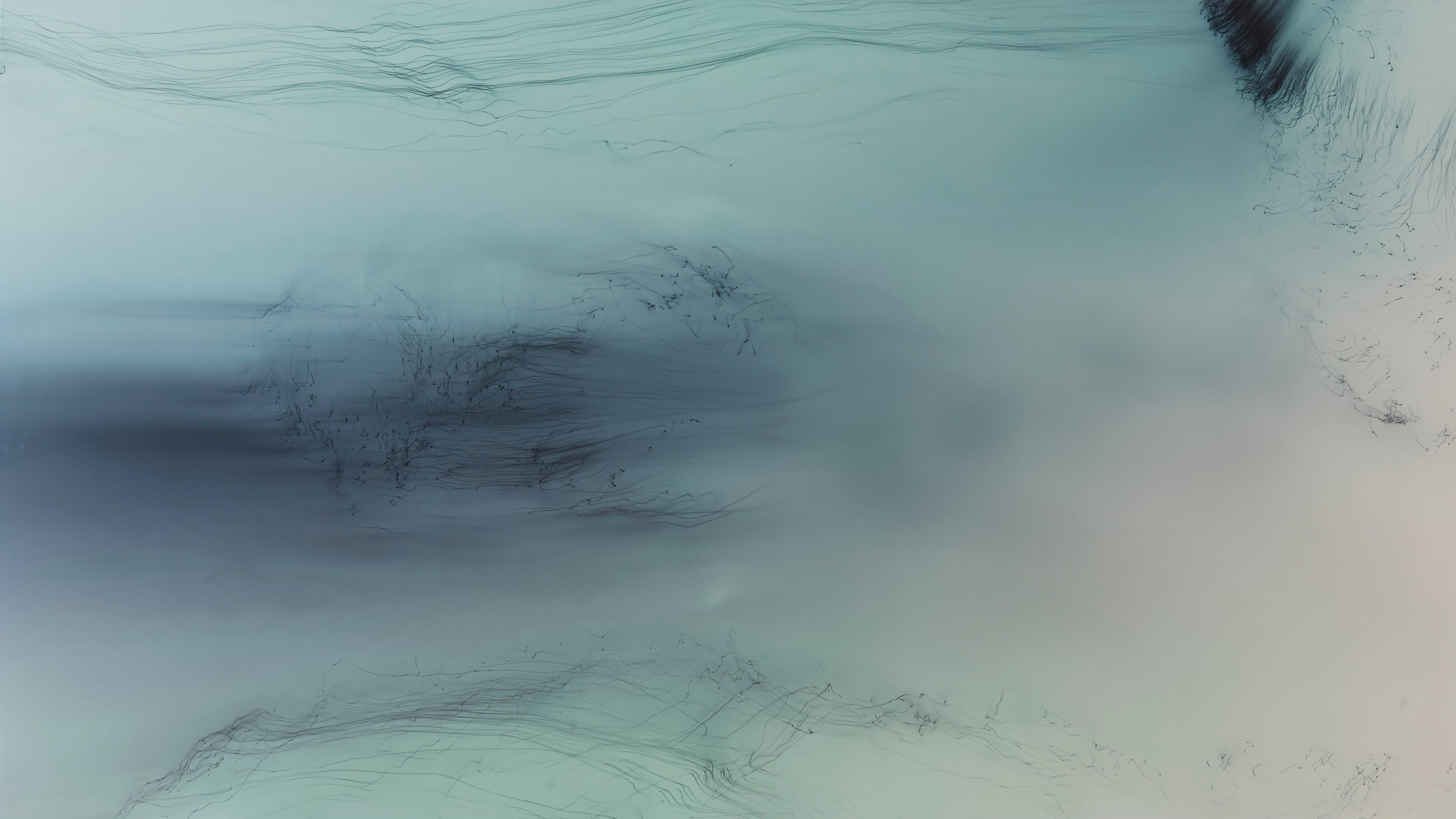 Freischwimmer 152 by Wolfgang Tillmans | Reframed Gallery